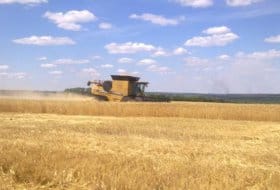 Harvesting Time in Pensa oblast, August, 2014
