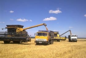 Harvesting Time in Pensa oblast, August, 2014