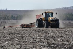 Sowing campaign in Kursk oblast, April, 2015