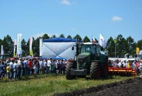 Field Day in Oryol oblast, July 8th, 2015