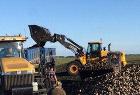 Demo shows of the JCB 260 and JCB 456 loaders, Penza oblast, August-September, 2017
