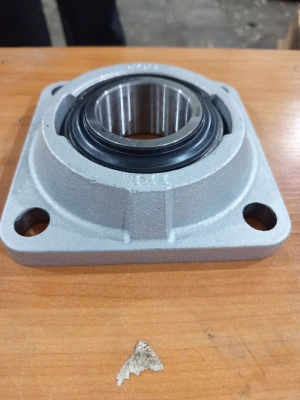 P7000001B(1)