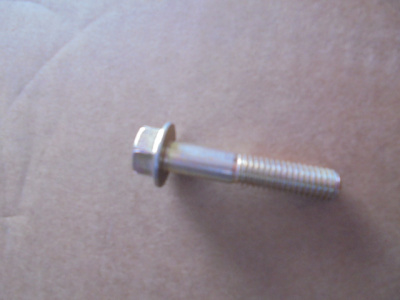 Основное изображение номенклатуры